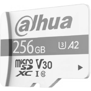 Dahua Tf-p100/256g