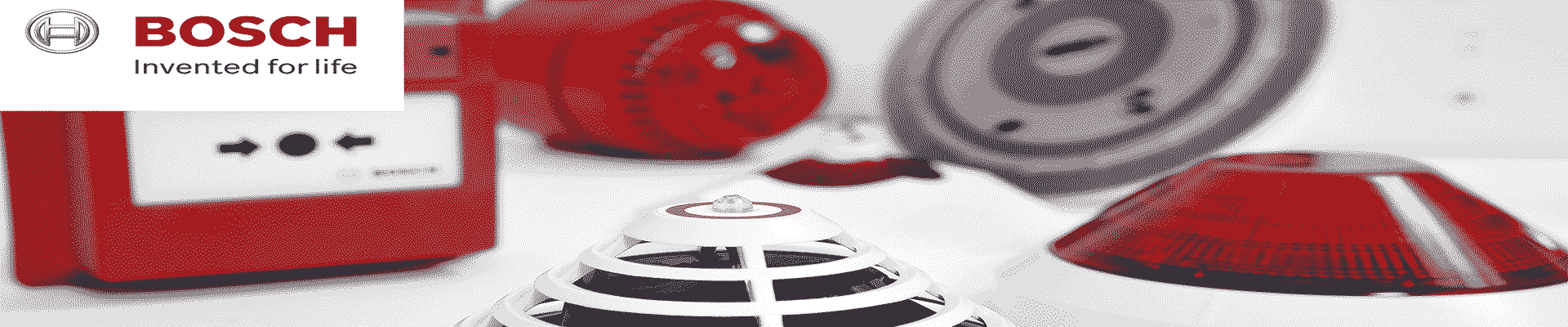 Descripción inicial