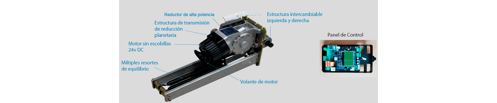 Características principales