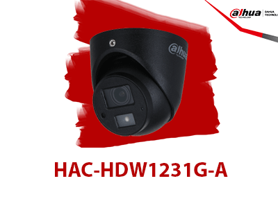 Información general 