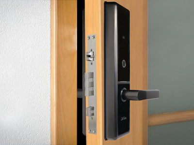 Principales Características