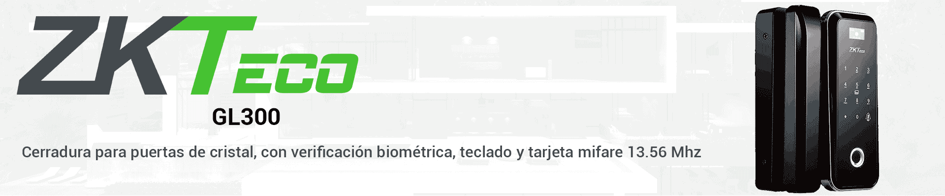 Descripción