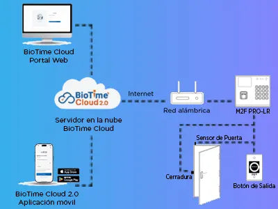 Principales Características