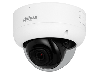 Características Principales 