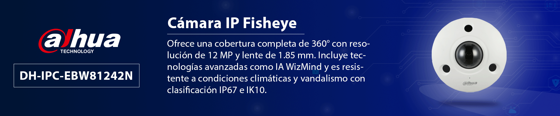 Información General