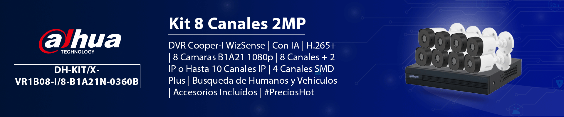 Información General del DVR