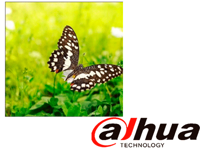 Características Principales