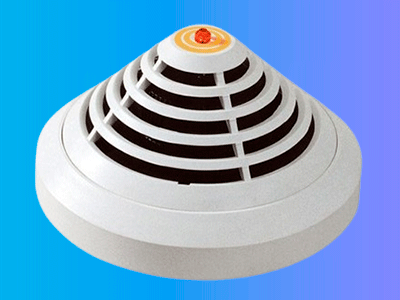 Principales características