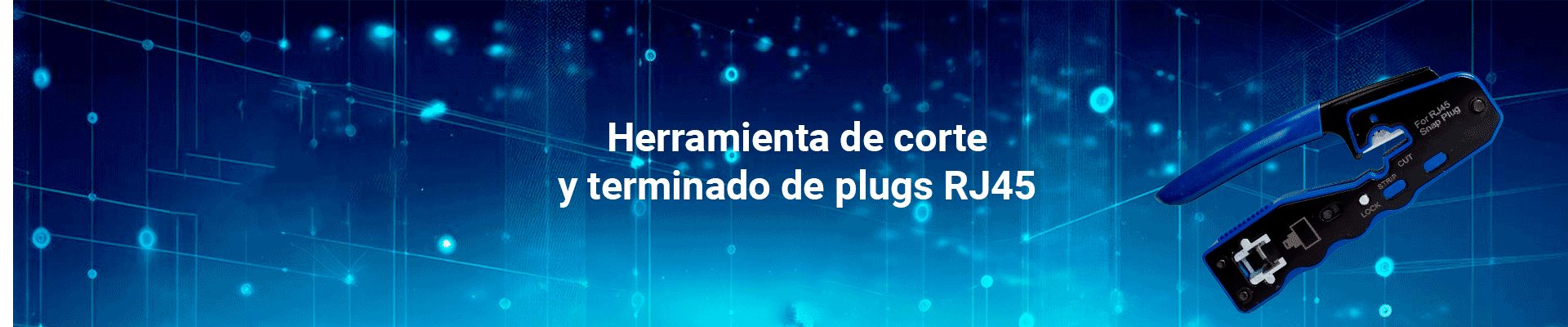 Descripción