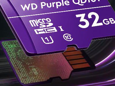 Memoria SD Western Digital Purple de 32GB