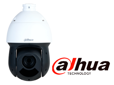 Principales caracteristicas