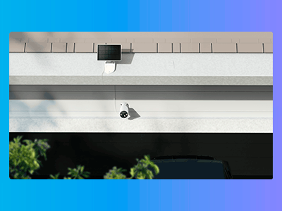 Principales características