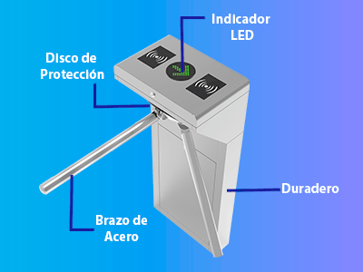 Principales Características