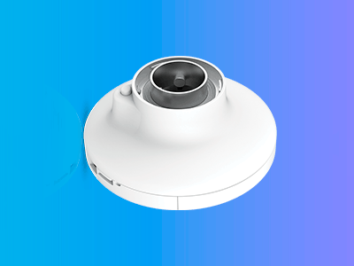 Principales características