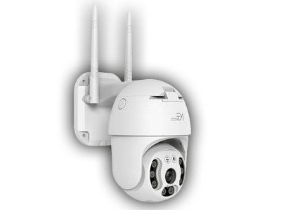 Principales Características Camara IP