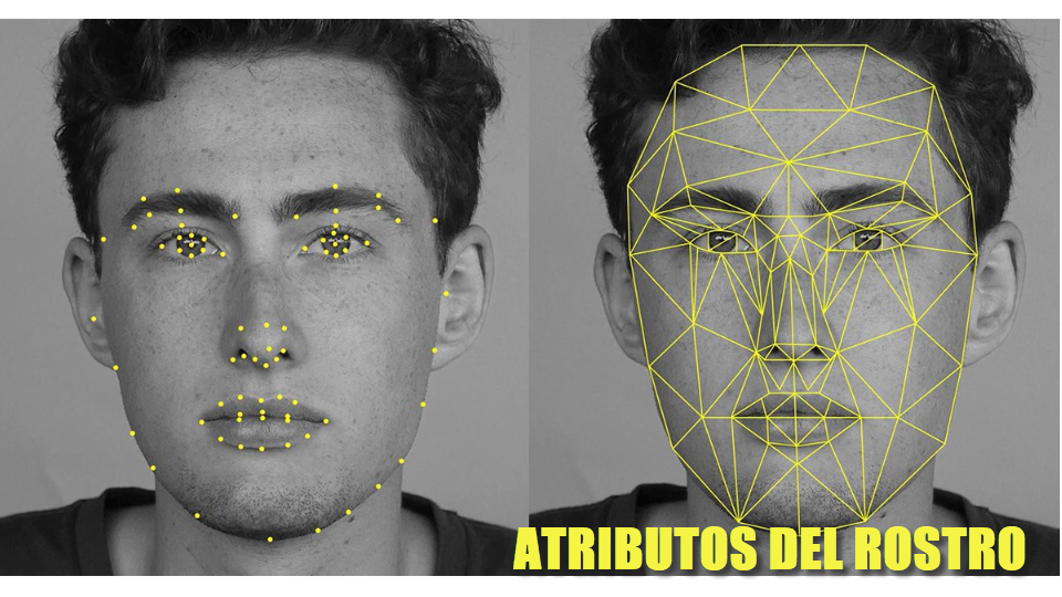 Atributos del Rostro