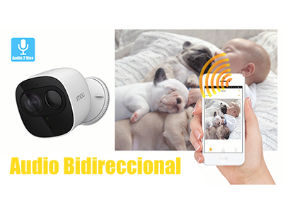 Audio Bidireccional