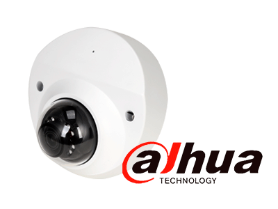 Principales Características