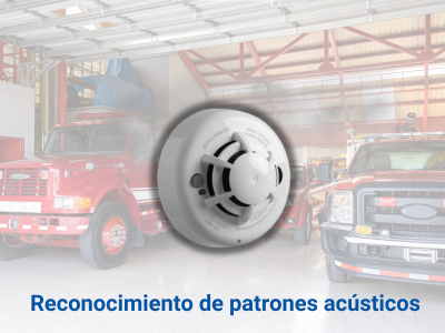 Características