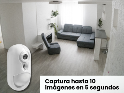 Descripción