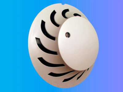 Principales características