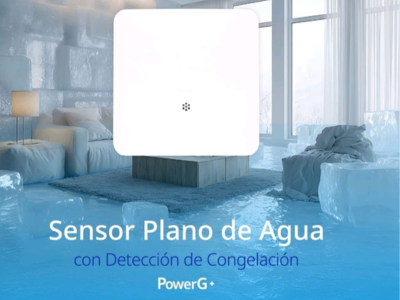 Descripción