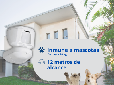 Descripción
