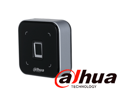 Principales Características