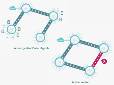 Rendimiento de red optimizado