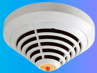 Principales características