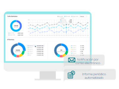 Informe de red visualizable