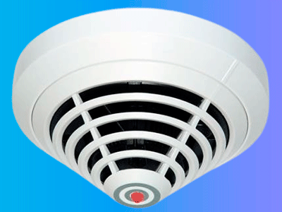 Principales características