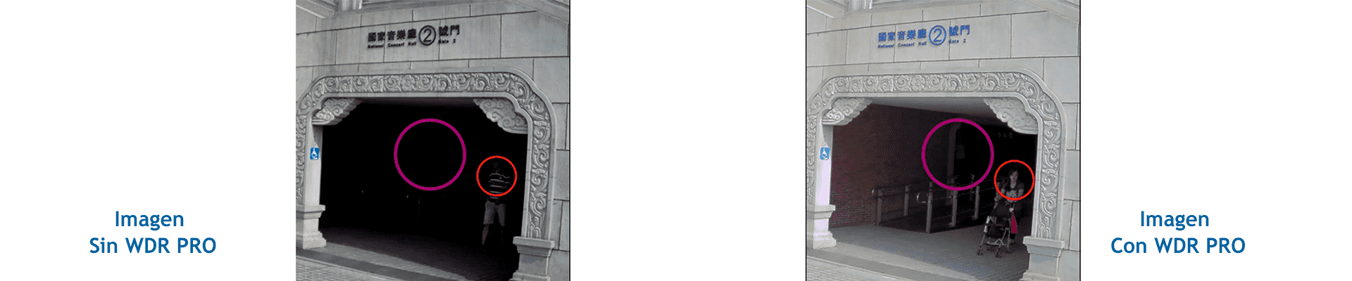 Obtenga imágenes claras al interior y exterior en cualquier ambiente dificil de luz.