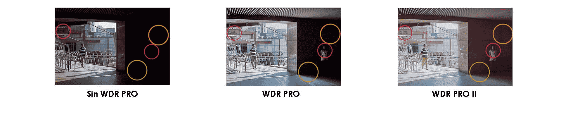 Imagenes claras al interior y exterior sin el efecto de contra luz o luz de fondo.