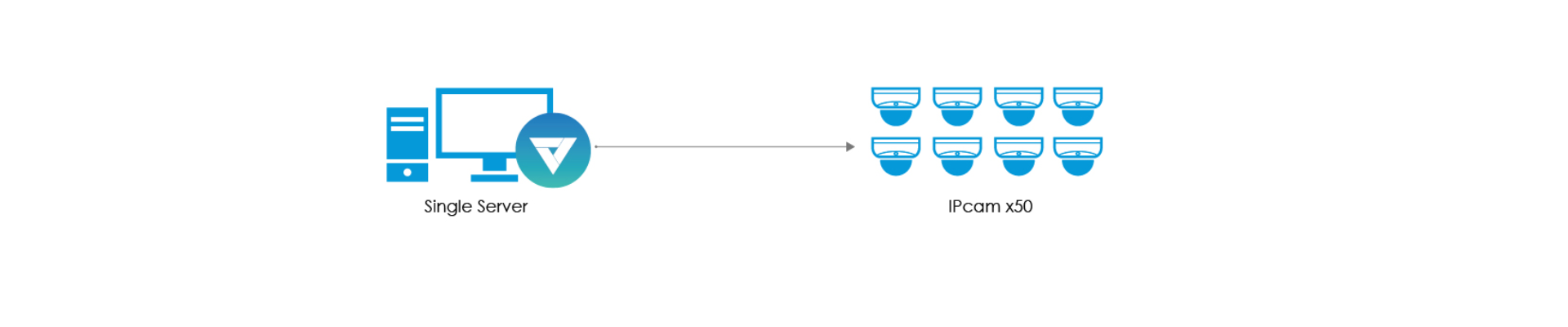 Licencia de Transporte