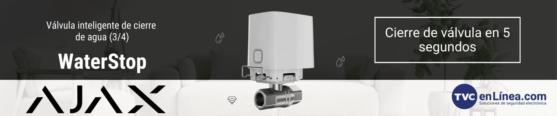 Información general