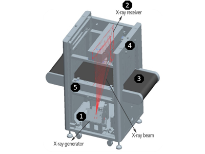 Mas Características